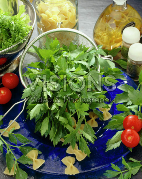 Levisticum officinale Levisticum officinale