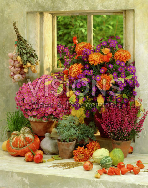 Autumn still life Autumn still life