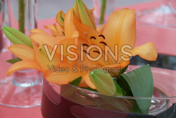 Lilium oranje Lilium oranje