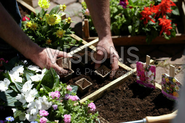 Square foot gardening