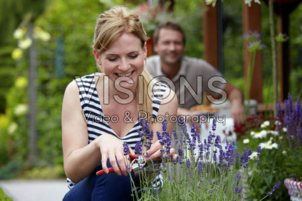 Woman cutting lavender