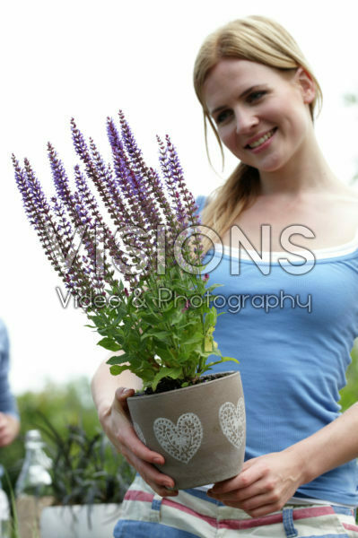 Woman holding Salvia
