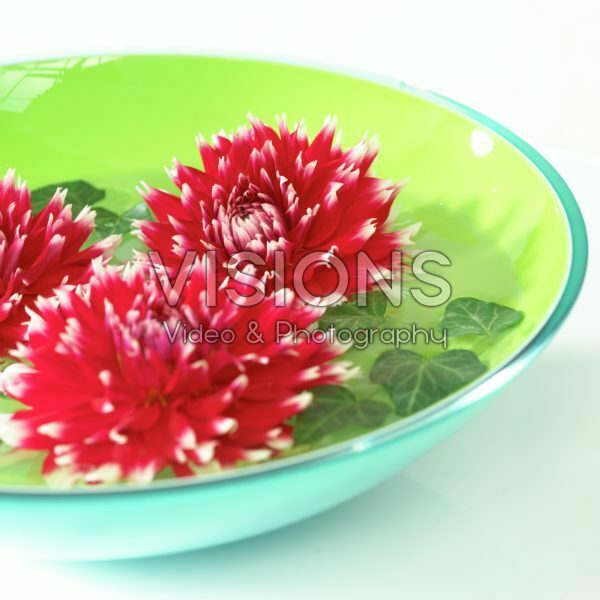 Dahlias in bowl