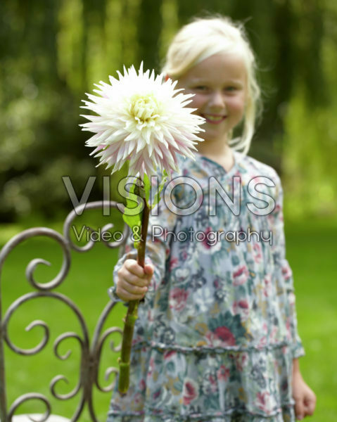 Meisje met dahlia