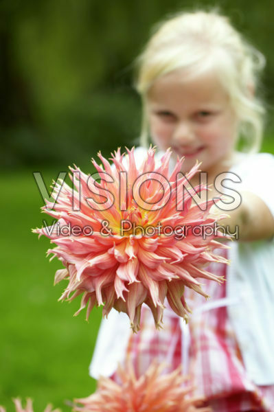 Meisje met dahlia