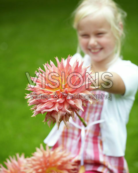 Meisje met dahlia