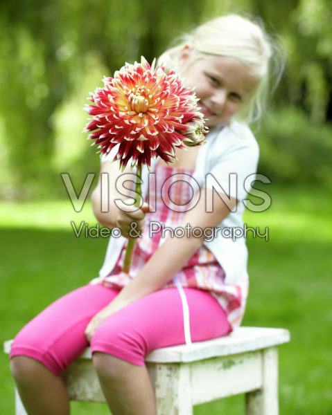 Meisje met dahlia