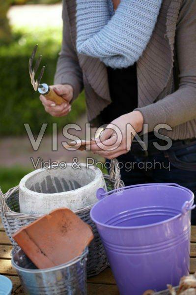 Planting bulbs