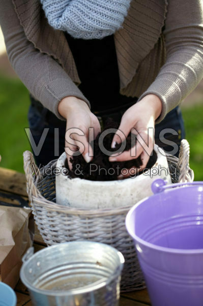 Bollen planten