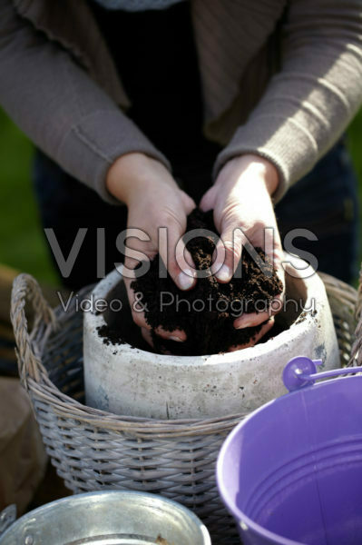 Bollen planten