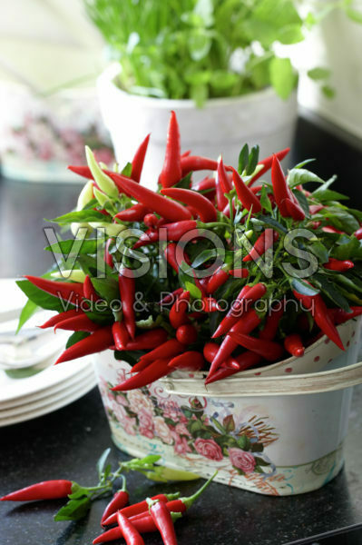 Ornamental pepper