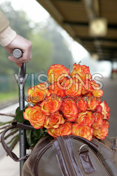 Roses on bagage trolley