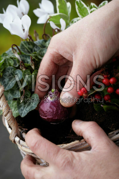 Herfst container