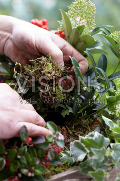 Herfst container