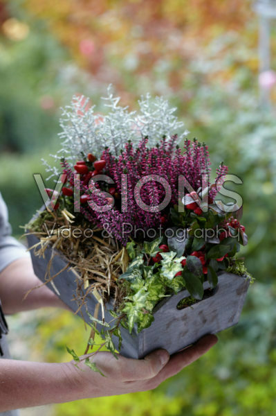 Herfst container vasthouden