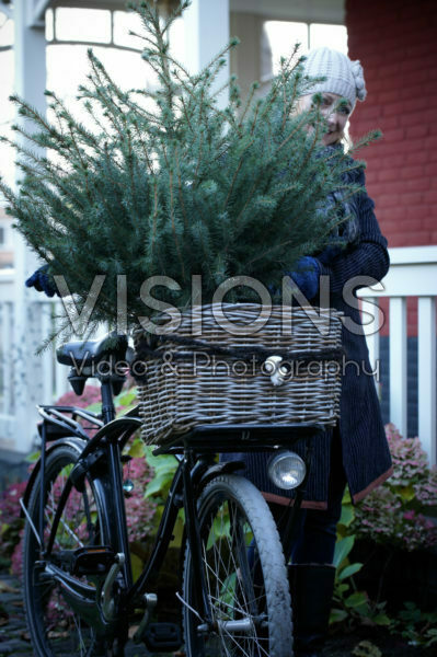 Kerstboom in fietsmand