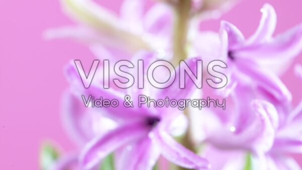 VIDEO Hyacinthus