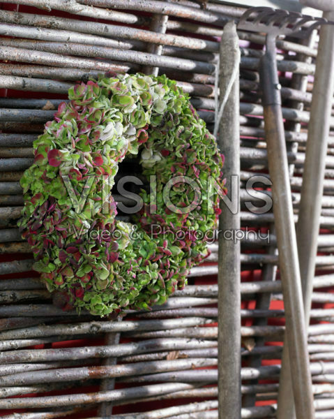 Hydrangea wreath