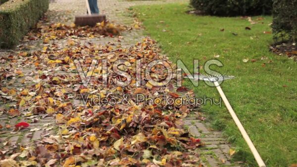 VIDEO Sweeping garden path