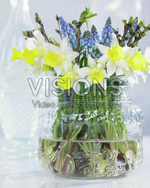 Voorjaarsbloemen Voorjaarsbloemen