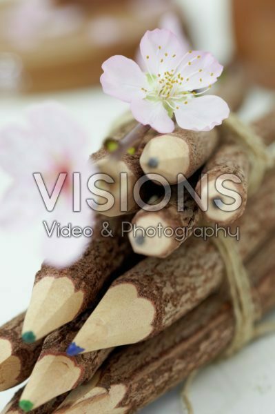 Prunus blossom