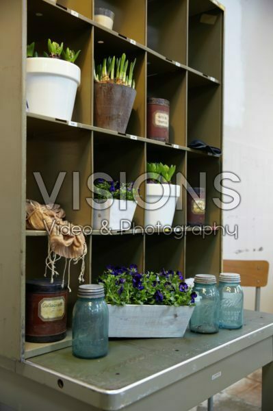 Plants in old cabinet