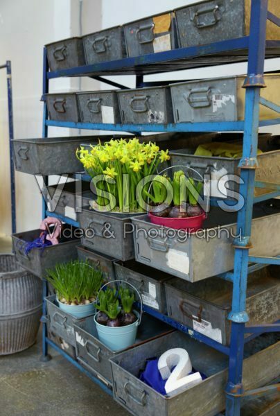 Spring flowers in drawers