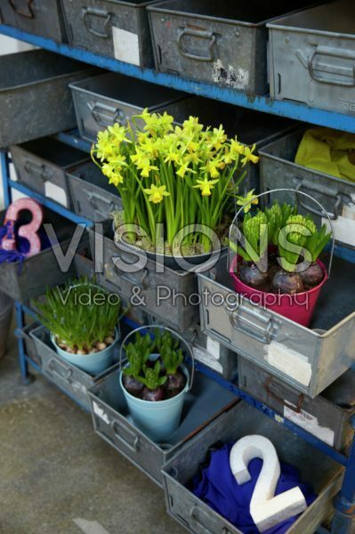 Spring flowers in drawers