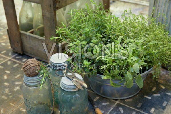 Mixed herbs in container