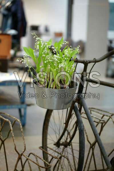 Lily of the Valley on bicycle