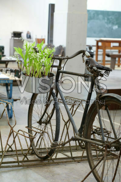 Lily of the Valley on bicycle