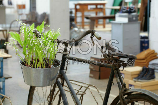 Lelietje-van-dalen op fiets