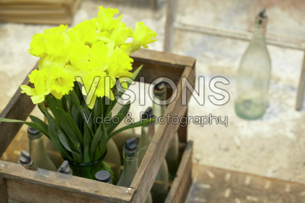 Daffodils in old crate
