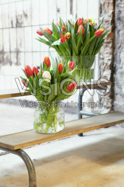 Tulpen in vazen