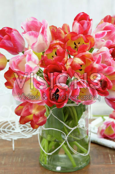 Mixed tulips