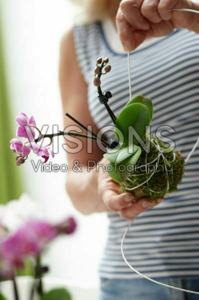 Kokedama maken