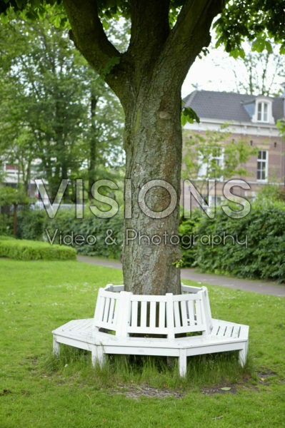 City Garden, Tree bench