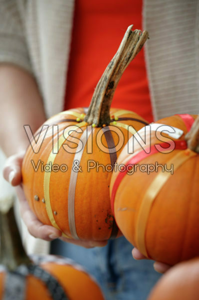 Decorated pumpkins