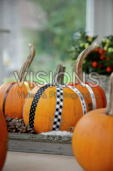 Decorated pumpkins