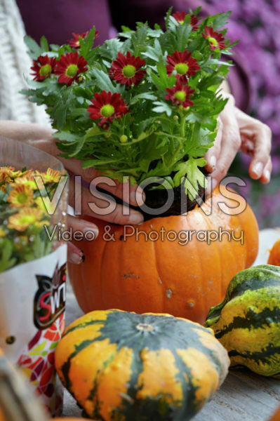 Pumpkin flowerpot Pumpkin flowerpot