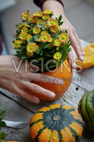 Pumpkin flowerpot