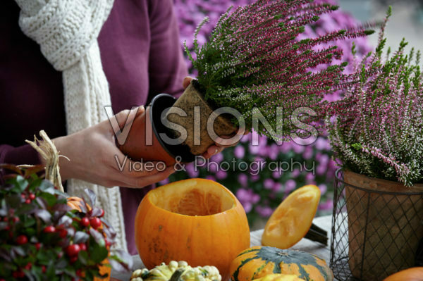 Pumpkin flowerpot