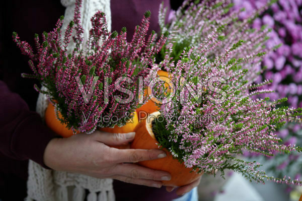 Pompoen bloempotten