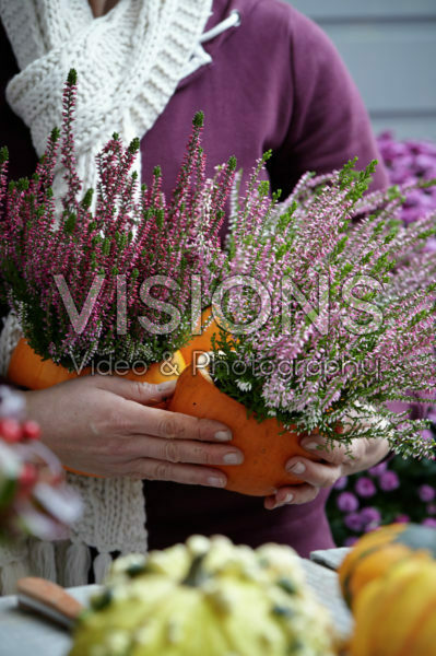 Pompoen bloempotten