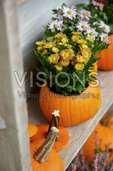 Pumpkin flowerpots