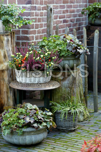 Herfst containers