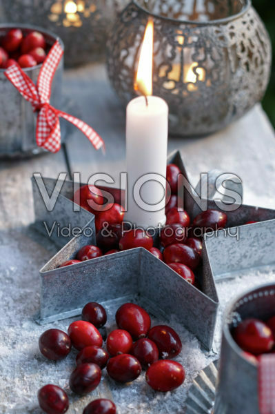 Cranberries Cranberries