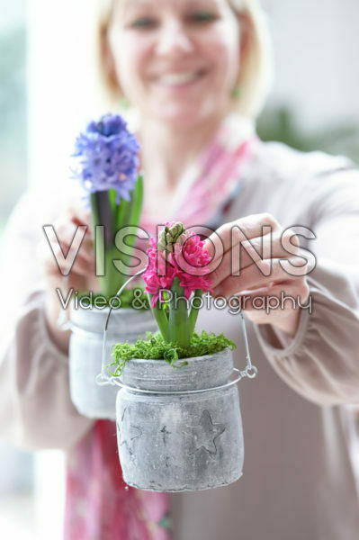 Holding hyacinths