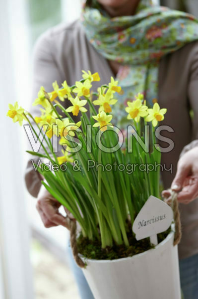 Narcissen vasthouden