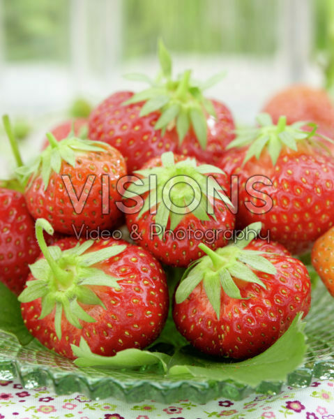 Fragaria x ananassa Vima Zanta Fragaria x ananassa Vima Zanta